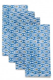 /105696_a_1.jpg
