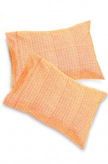 54755_a_1.jpg
